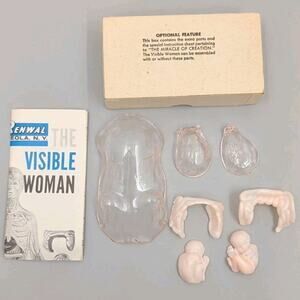 Vintage Renwal The Visible Woman 804 Optional Miracle Of Creation 1960 Parts